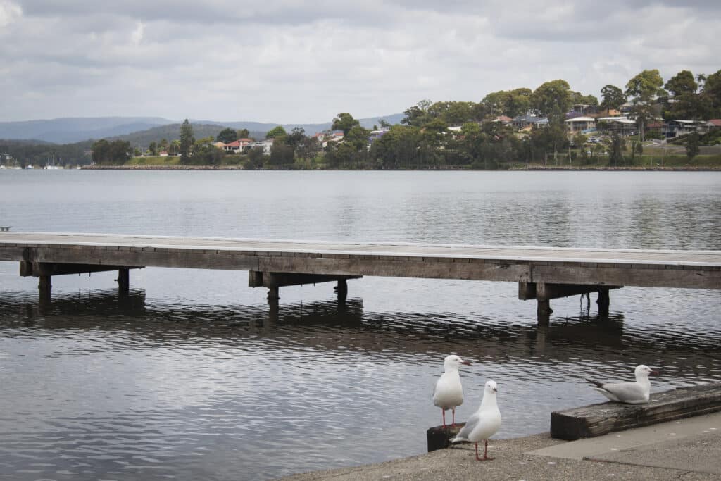 Hot Water Speers Point