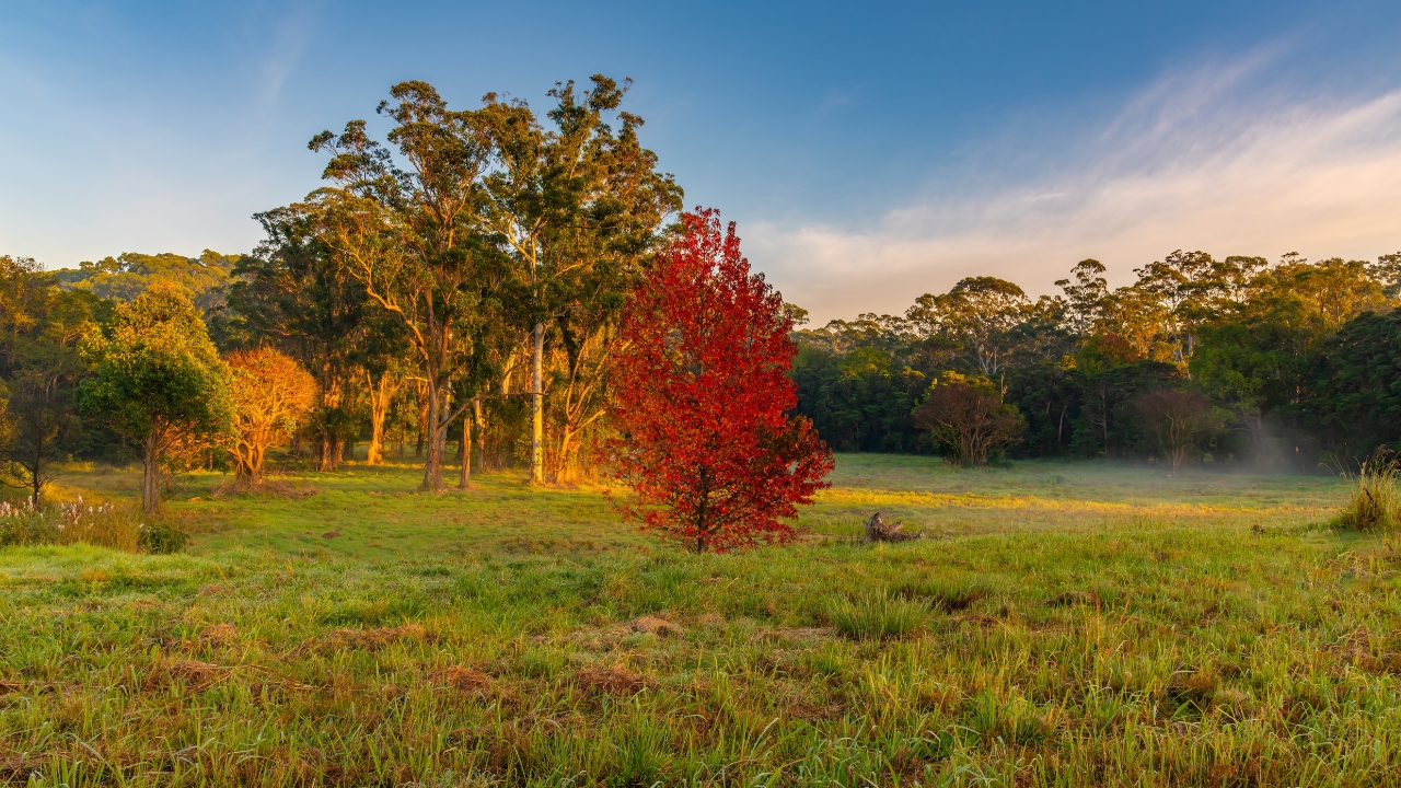 Locations » Hot Water Installation Hot Water Installation and Maintenance Erina