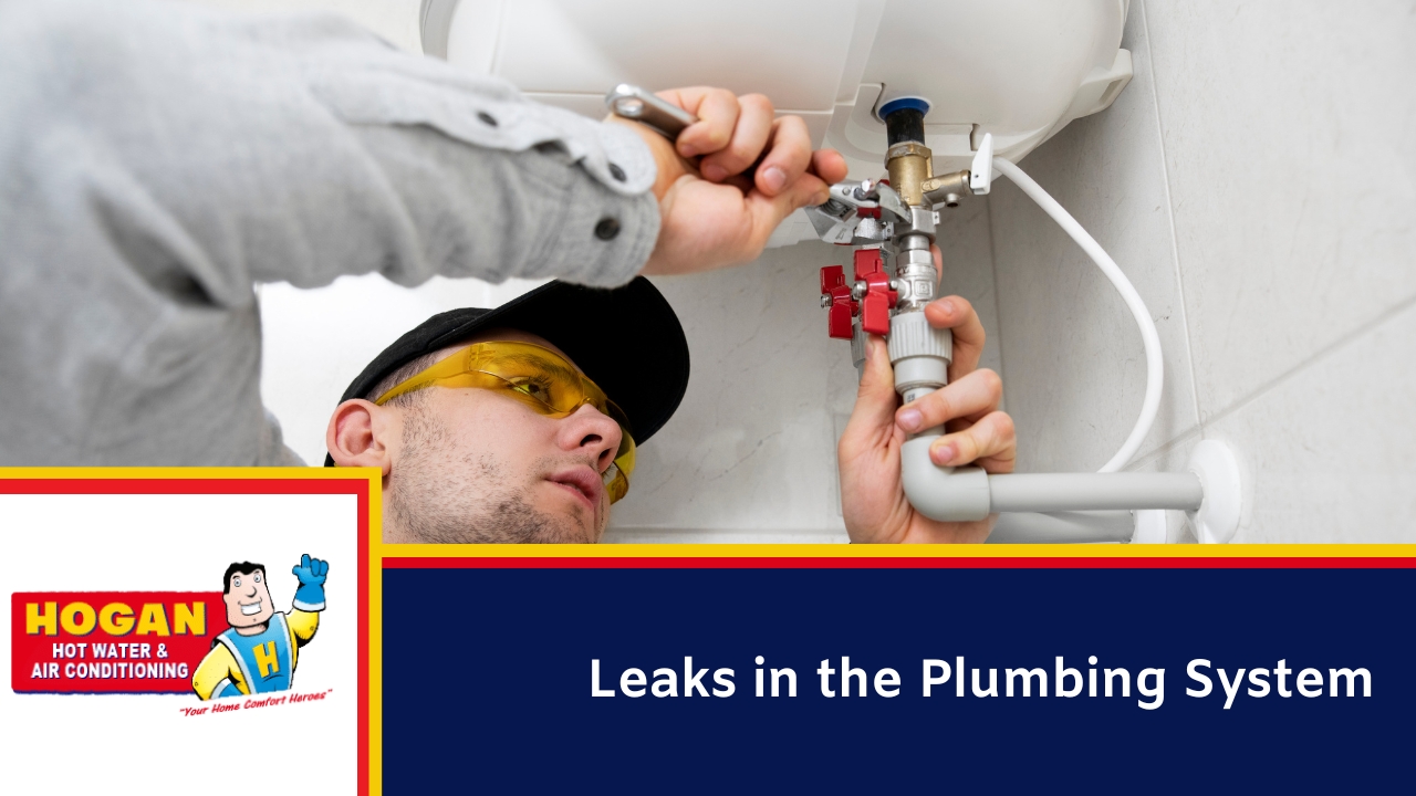 Leaks in the Plumbing System