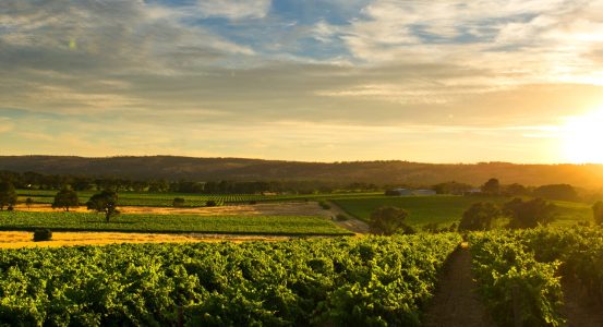 Elermore Vale, Australia