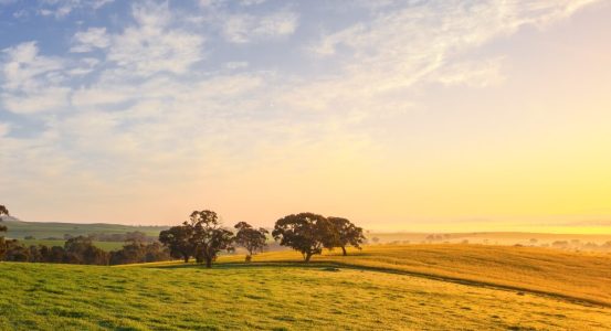 Hot Water Installation and Maintenance Point Clare A wide-angle landscape view of rolling green and golden fields at sunrise.