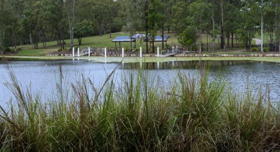 Hot Water Installation and Maintenance Springfield A scenic view across a calm lake with tall grass reeds in the foreground.