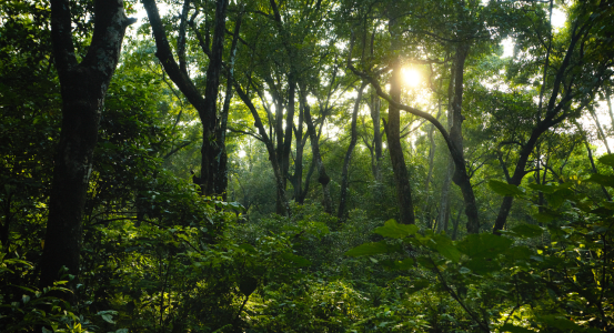 Hot Water Installation and Maintenance Wyoming