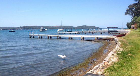 A sunny day at a bay with white wooden piers extending into the blue water